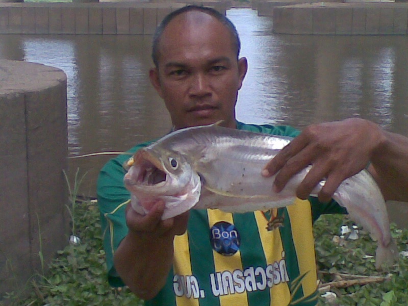 เบียว เบี้ยว
