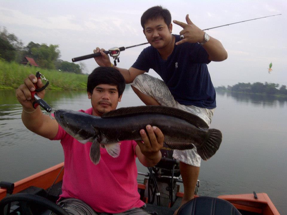 ภาพรวมๆๆคับ