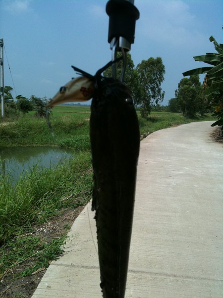 รองทําหยดนํ้าใช้เอง กะ ปลาไซร์นี้ 