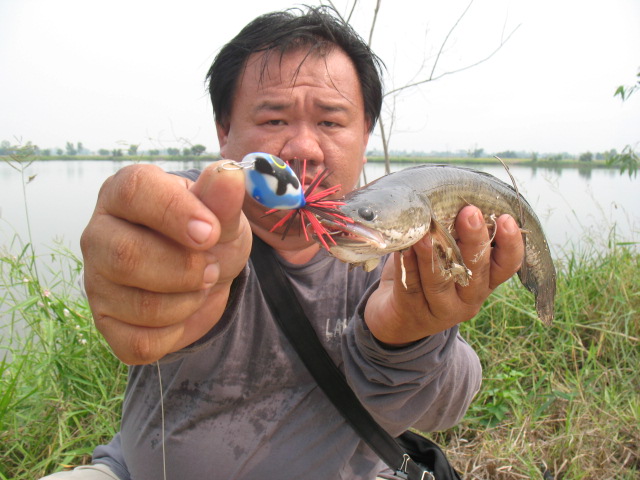 ลูกชุบสีสดใส