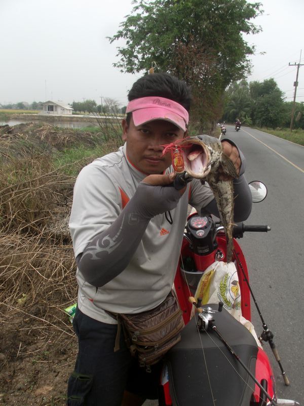 ช่อนใหญ่ หมายข้างทางสุวินทวงศ์