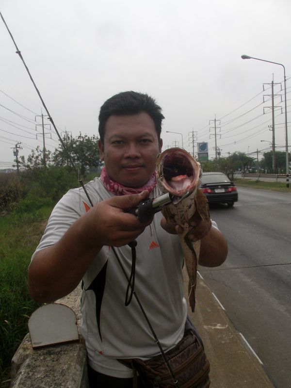 ช่อนใหญ่ หมายข้างทางสุวินทวงศ์