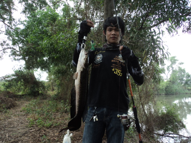 ลองทำดู ก.กบ