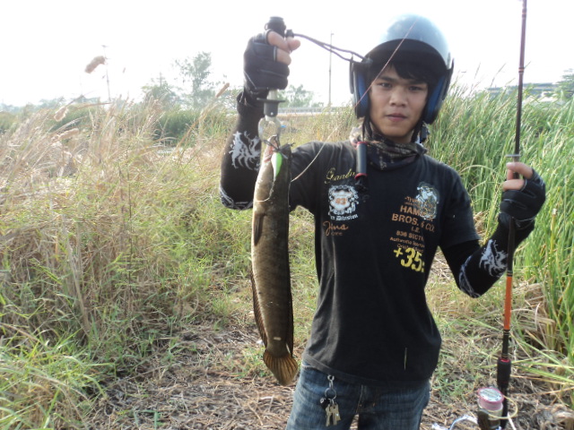 ลองทำดู ก.กบ
