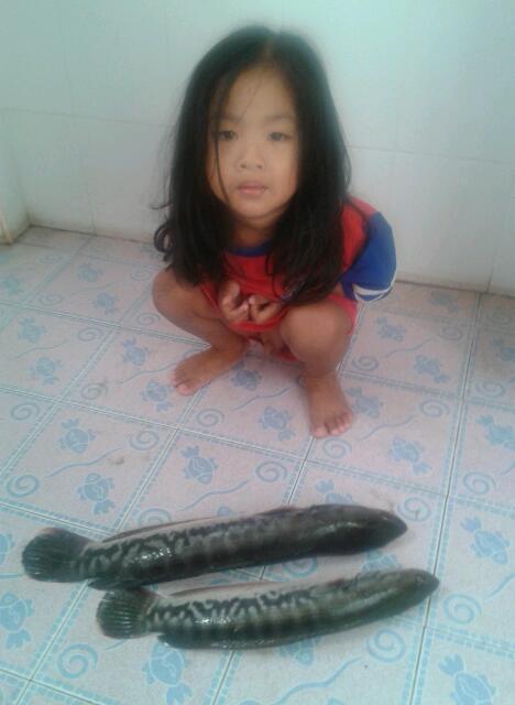 30นาทีแอบลูกไปลองหมาย
