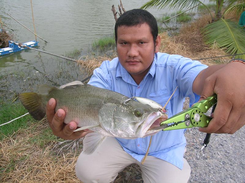 31-03-56กระพงใหญ่เกินขาย+ซิงBYสะดุดเอ็นทีม