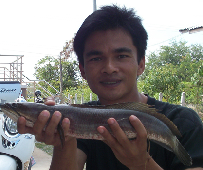รวมภาพประทับใจ