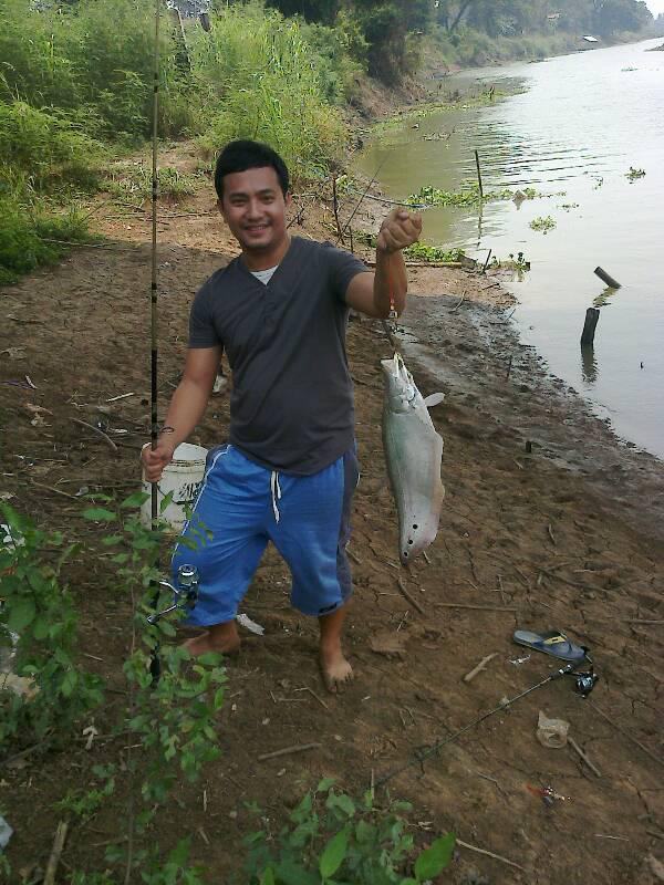 ปลากลายเเม่นํ้าลพบุรี
