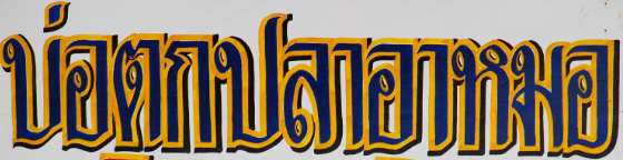 **กะพง**เตรียมตัว.แล้วเจอกันวันที่ 17-3-56 นะครับน้าๆ  ณ.บ่อปลาอาหมอ  