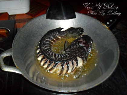 Voon Y Fishing...สัปดาห์ที่ผ่านมา