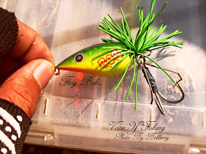 Voon Y Fishing...สัปดาห์ที่ผ่านมา