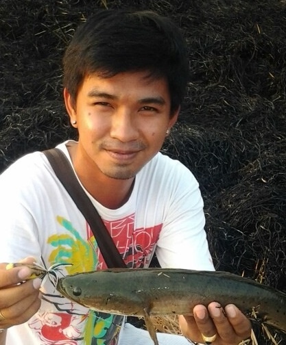 กบโทนตัวเก่ง