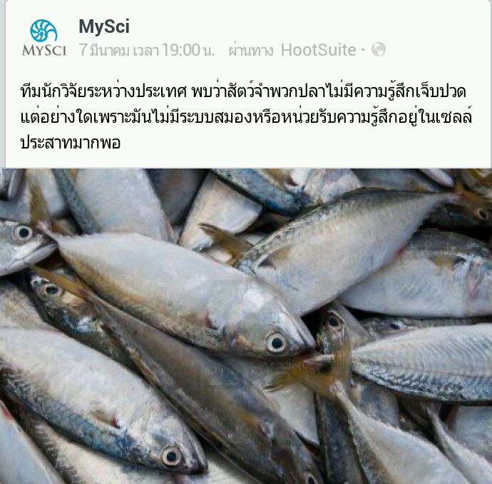 ปลาไม่มีความรุ้สึก!