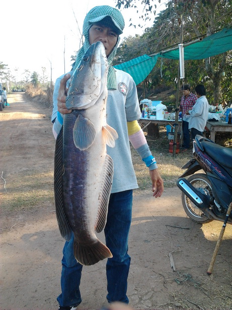 หมายธรรมชาติ19