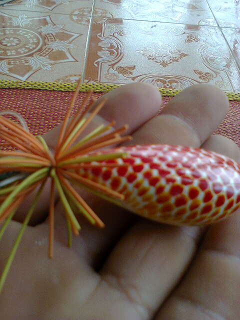 มือใหม่หัดโดด ^___^