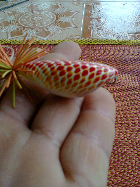 มือใหม่หัดโดด ^___^