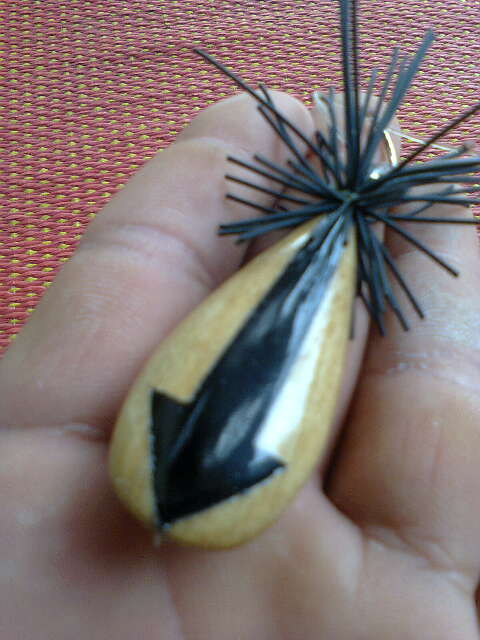 มือใหม่หัดโดด ^___^