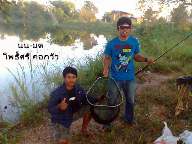 ชะโด โพธิ์ศรี