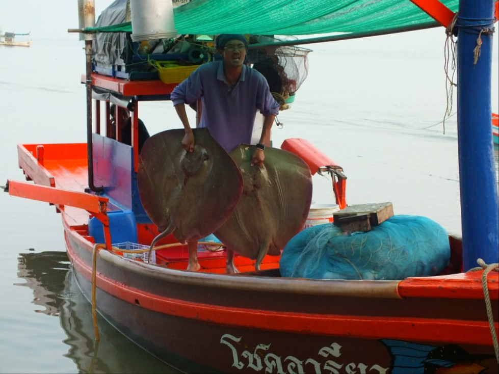 จัดหนักกับเรือโชคอารียา โดยไต๋เลี้ยง