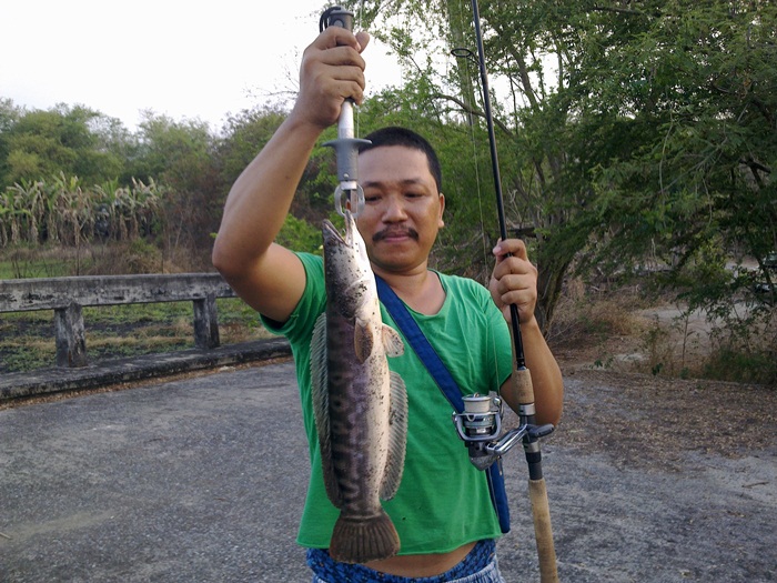 @ ตีกบ บนสะพาน @