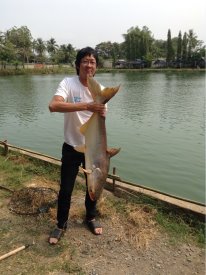 เพิ่งซื้อคันรอกมา..อวดของเก่าซะด้วยเลยราคาถูกนะครับ^^
