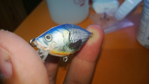 ของก๊อปย่อขนาด