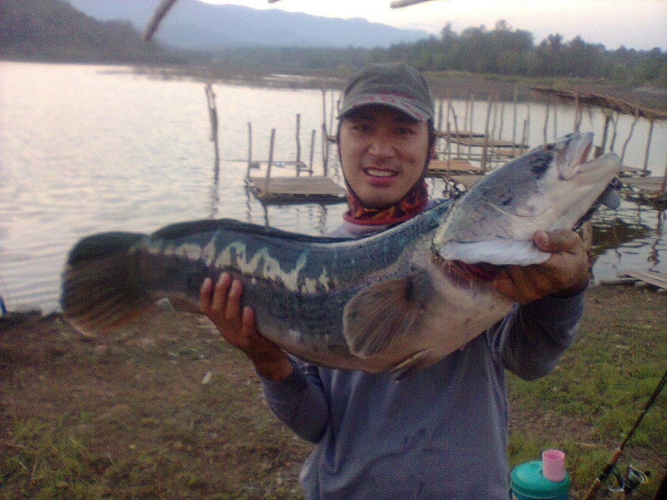 จ.พะเยา