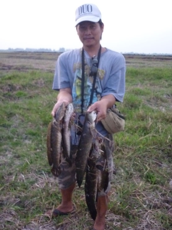 ลุยปลาช่อนต่างถิ่น ณ วัดจุฬามณี