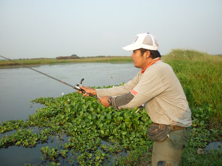 ลุยปลาช่อนต่างถิ่น ณ วัดจุฬามณี
