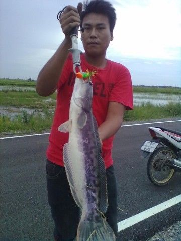 Rut yudya จะกลับมาเร็วๆนี้