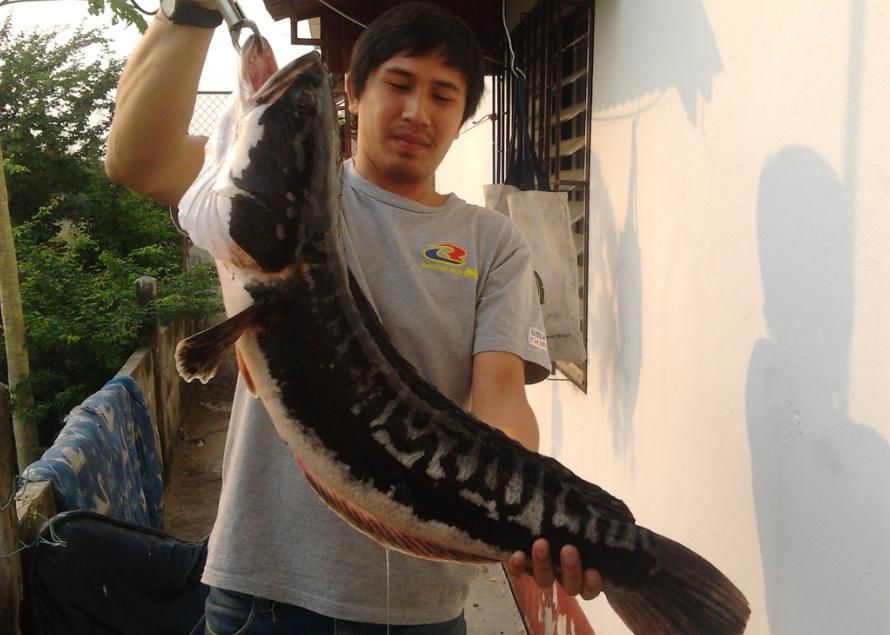 ปลายืม เหอะๆ