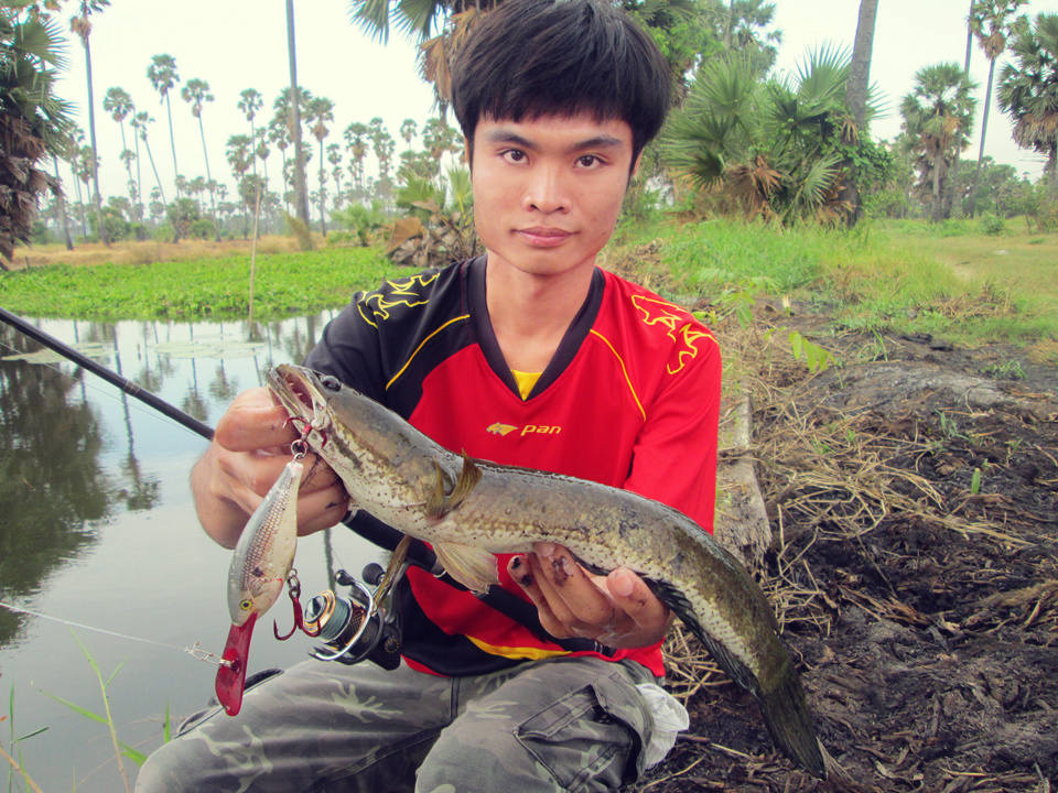 Risto..ลิ้นเเดง HaHa !!