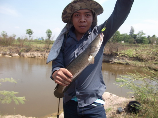 ชะโด-ช่อนใหญ่ พาเพลิน แบบมัน ภาค 2 ปราจีนบุรี