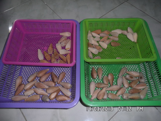 งานบ้านนอก บ้านนอก