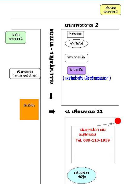 กระพงเทียนทะเล 21 