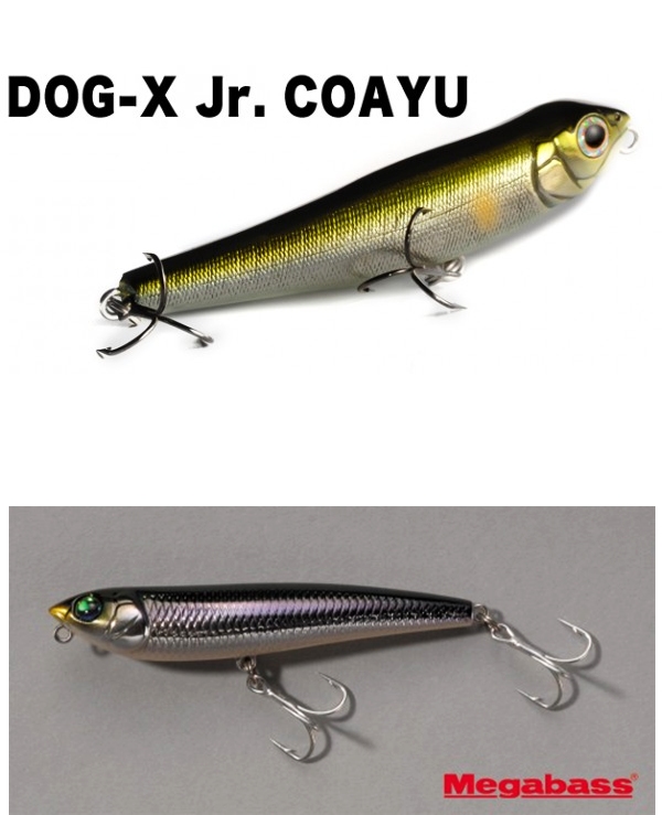 ++.... Dog X SW --- VS ----  Dog X COAYU Jr....+++