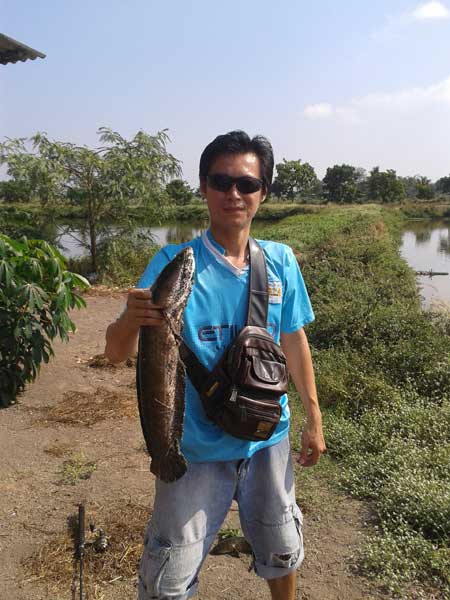 ทริปปลาช่อนน้าต่อหัวไผ่