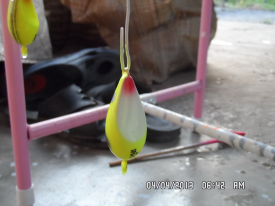 หนูมั้ง....กบมั้ง
