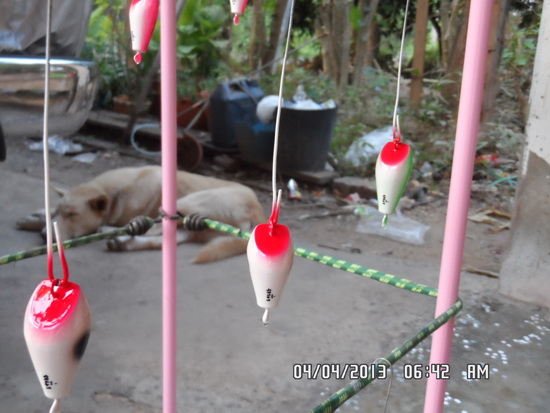 หนูมั้ง....กบมั้ง
