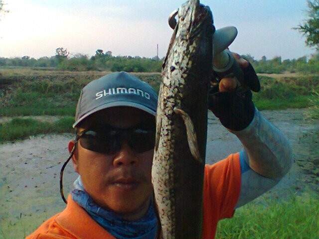 ช่อนนิ๊ ที่ด่านขุนทด  ภาค 18