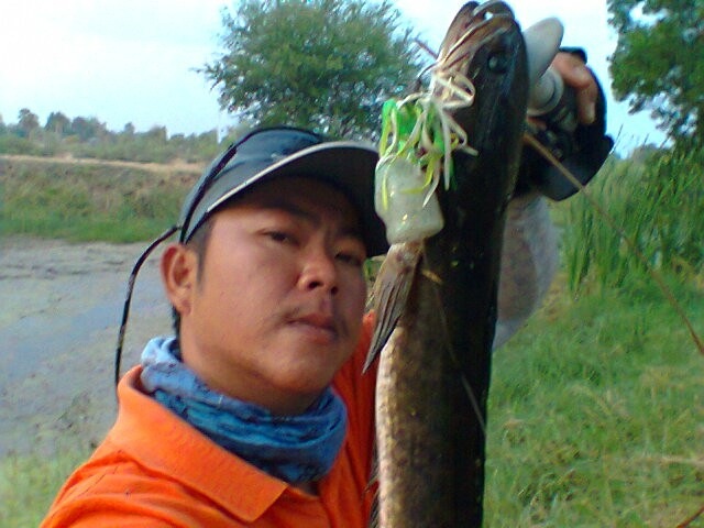 ช่อนนิ๊ ที่ด่านขุนทด  ภาค 18