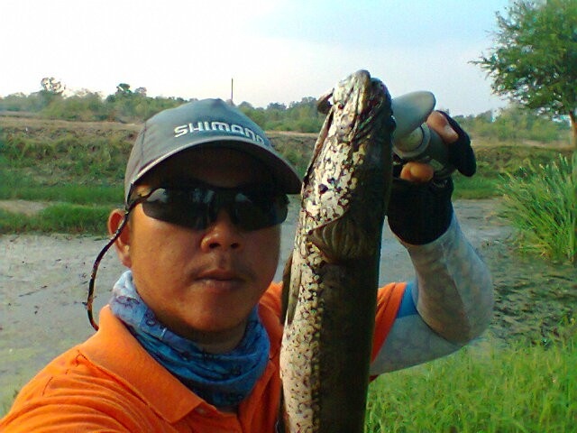ช่อนนิ๊ ที่ด่านขุนทด  ภาค 18