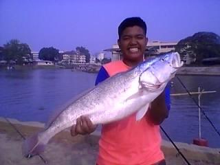 size S fishing สะแกวัลย์อยุธยา มีม้า เหมือนกัน !!!