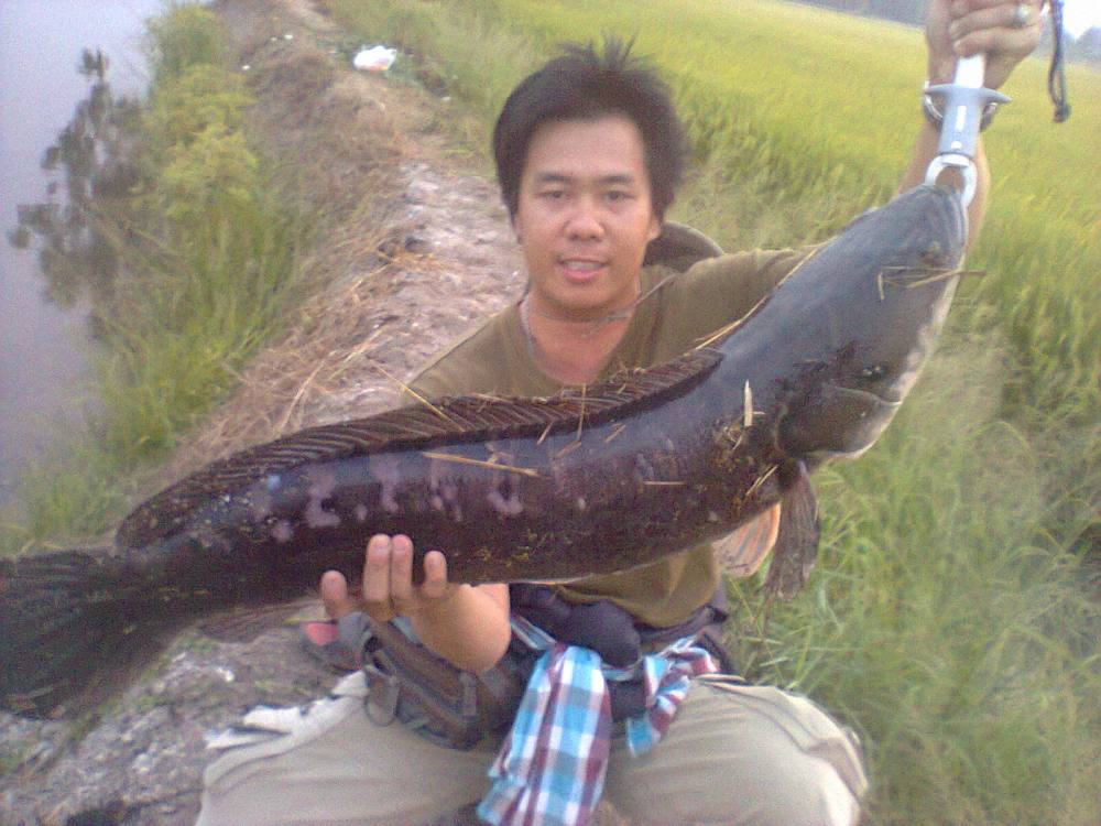 วันร้อนๆ ตะลอนหาของใหญ่