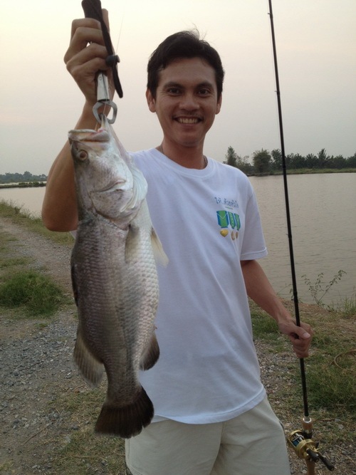 ไป " วัง " กันดีฟ่าทิตย์นี้