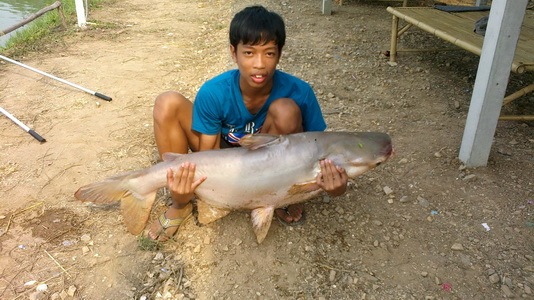 ปลาบึกบ่อโฟล์คซองหนองขนาก