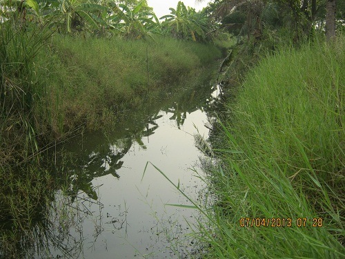 เดี่ยว 2 ตีปลาช่อนหมายเดิมที่บางประกง