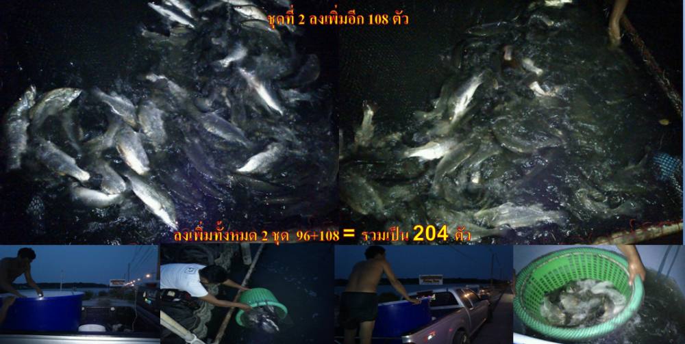 **อัพเดทลงปลาเพิ่มชุดใหญ่ครับ**กัดแน่นอน**แถมได้ของรางวัลกลับ 21-4-56