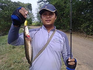 ช่อน  สัญจร