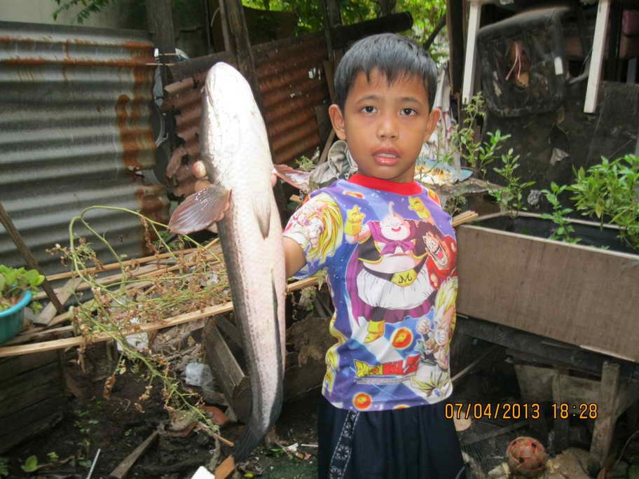 แหมดำตัวใหญ่ยังมี